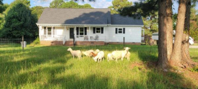 Meadow Farm in Holly Springs, NC